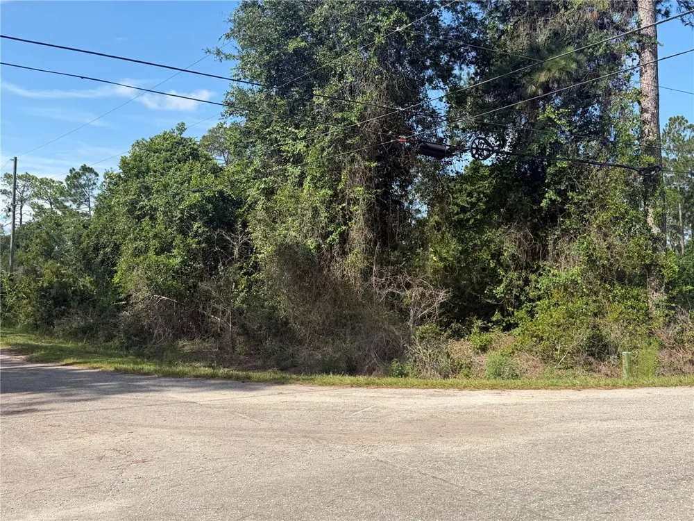 TBD MALAUKA TERRACE Ocklawaha, FL 32179