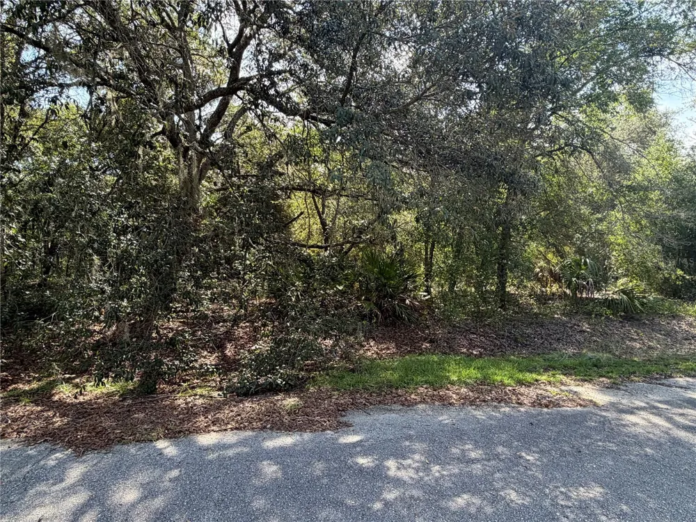 TBD MALAUKA PASS TRAIL Ocklawaha, FL 32179