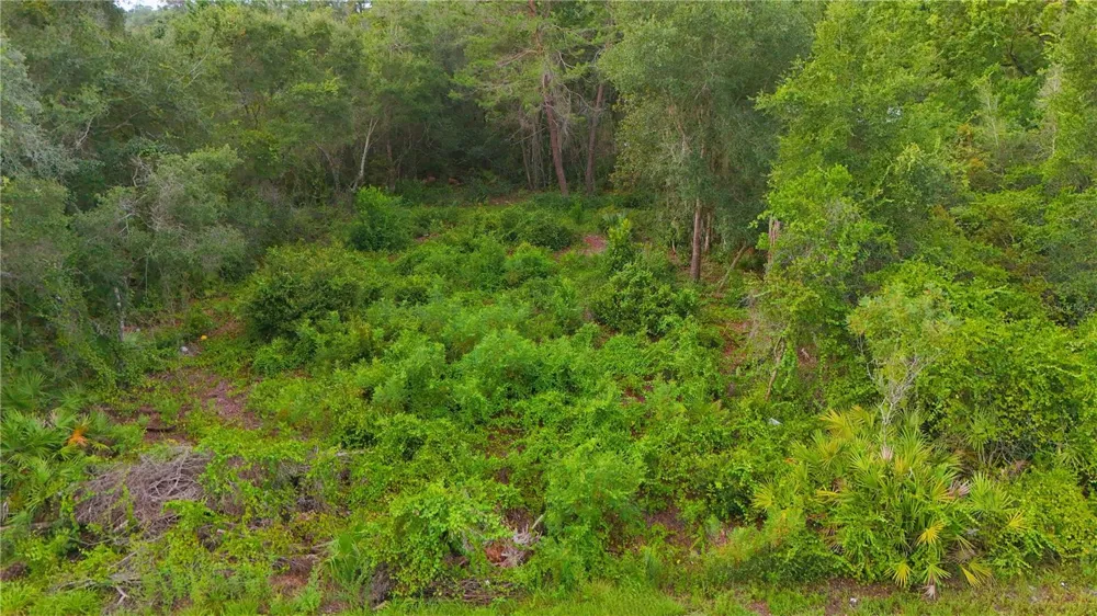 COUNTY ROAD 42 Paisley, FL 32767