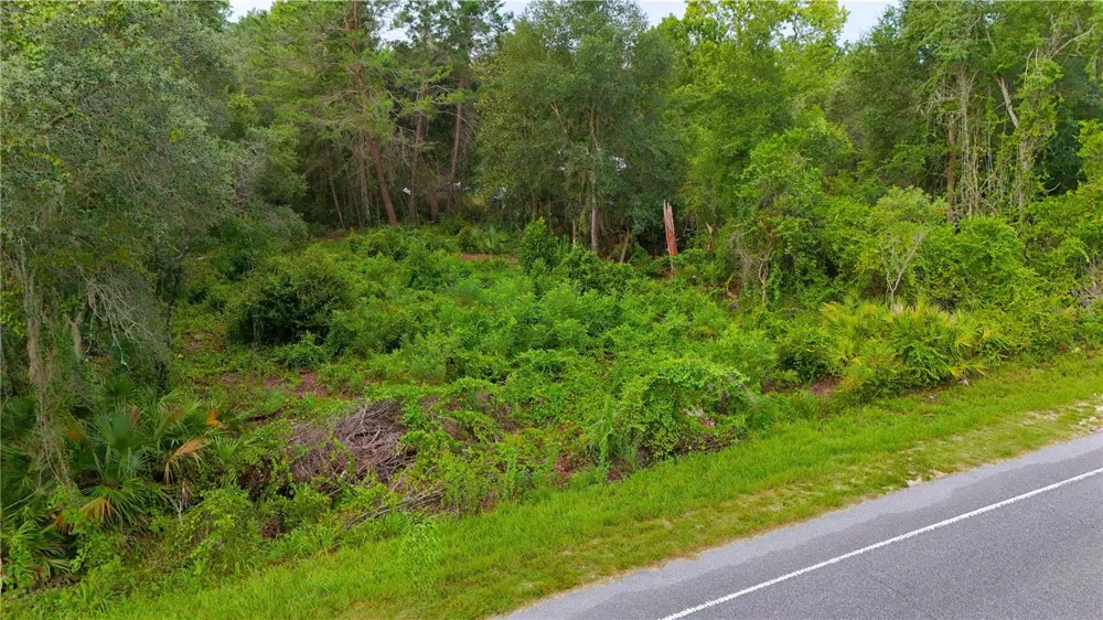 COUNTY ROAD 42 Paisley, FL 32767