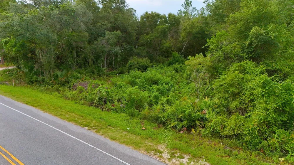 COUNTY ROAD 42 Paisley, FL 32767