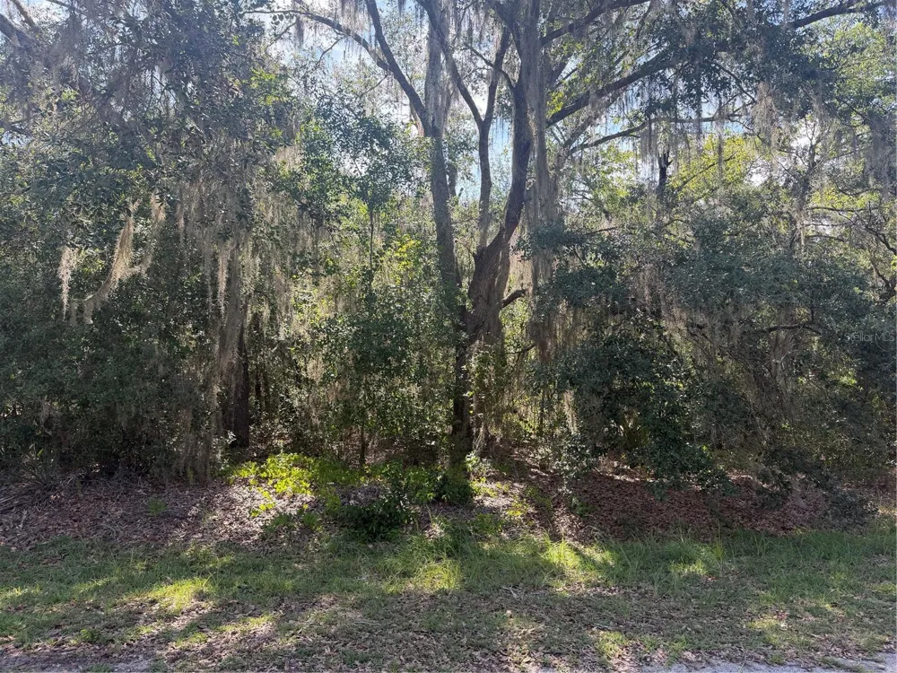 TBD MALAUKA PASS TRAIL Ocklawaha, FL 32179