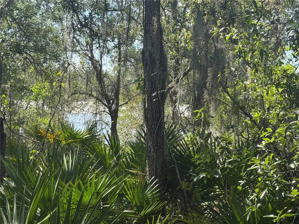 TBD MALAUKA PASS TRAIL Ocklawaha, FL 32179