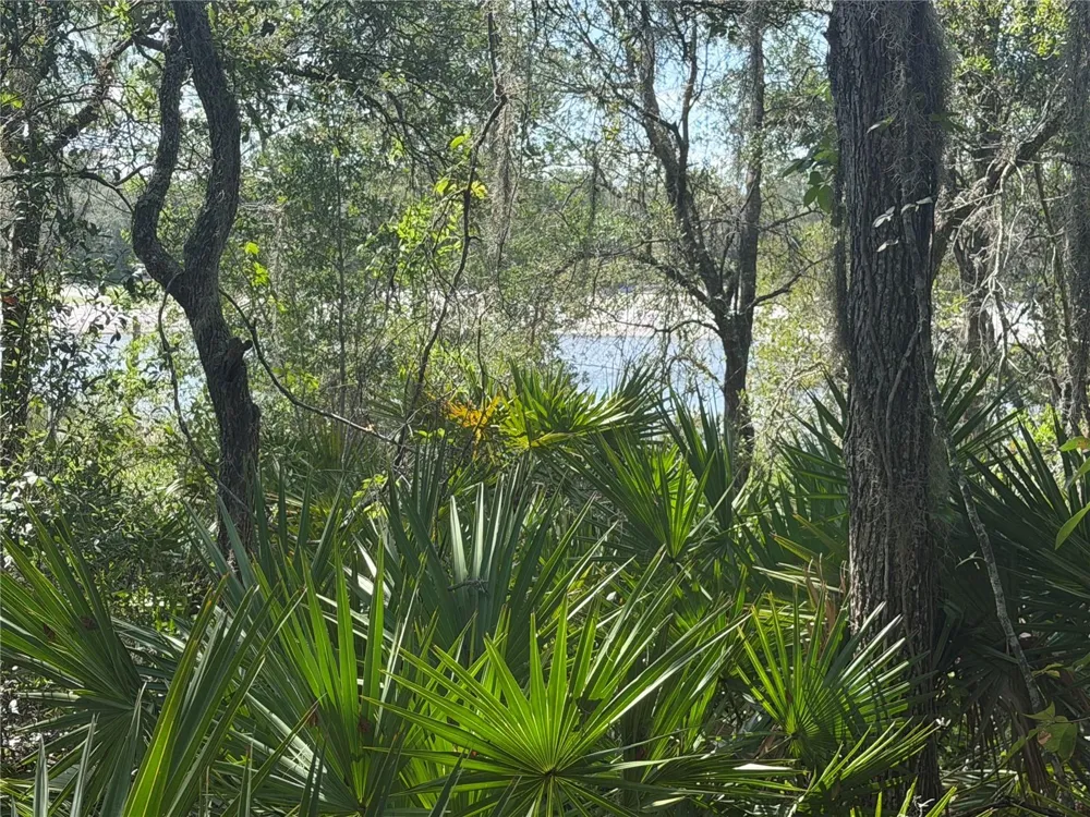 TBD MALAUKA PASS TRAIL Ocklawaha, FL 32179