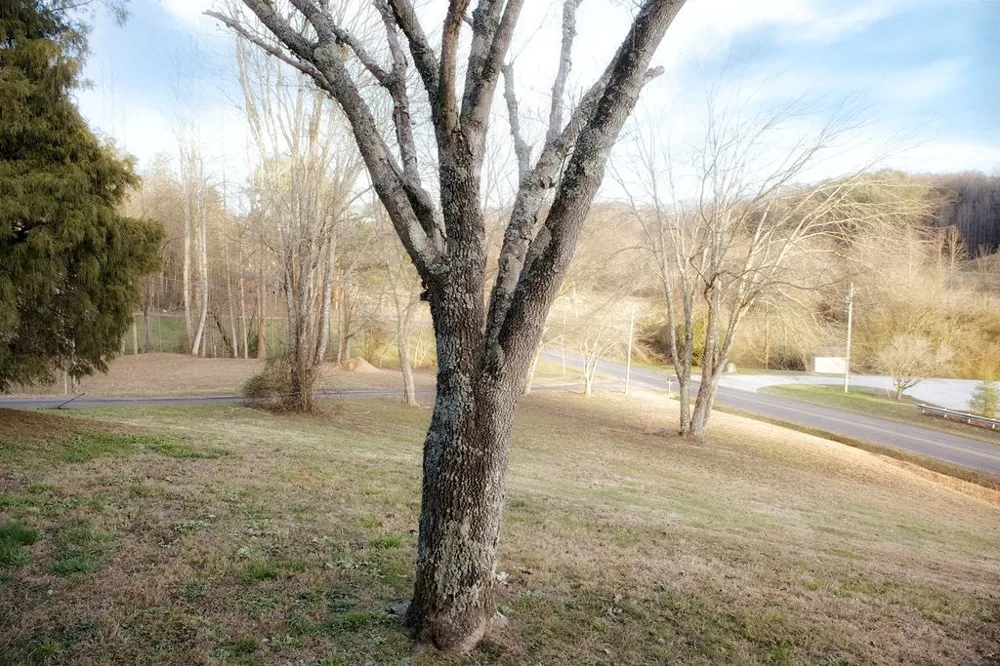 545 Maltby Road Marble, NC 28905