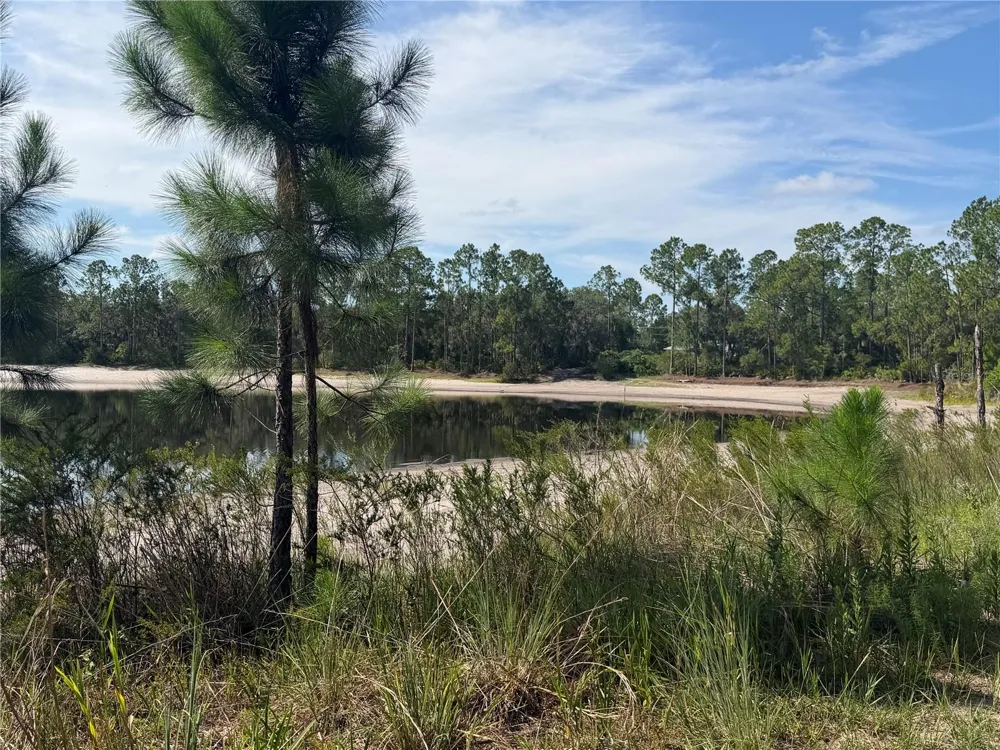 TBD MALAUKA PASS TRAIL Ocklawaha, FL 32179
