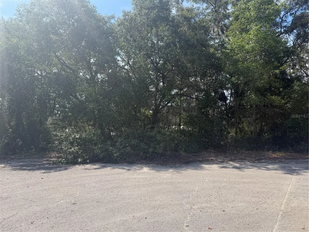 TBD MALAUKA PASS TRAIL Ocklawaha, FL 32179