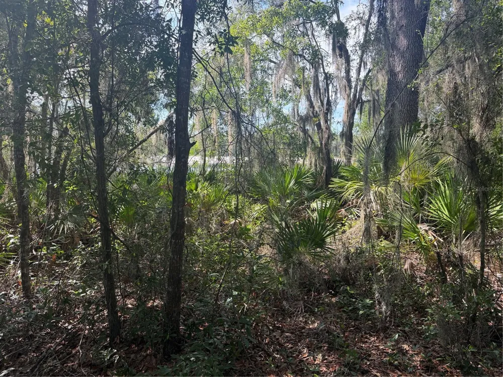 TBD MALAUKA PASS TRAIL Ocklawaha, FL 32179