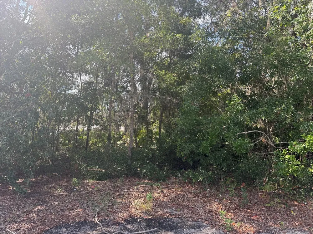 TBD MALAUKA PASS TRAIL Ocklawaha, FL 32179