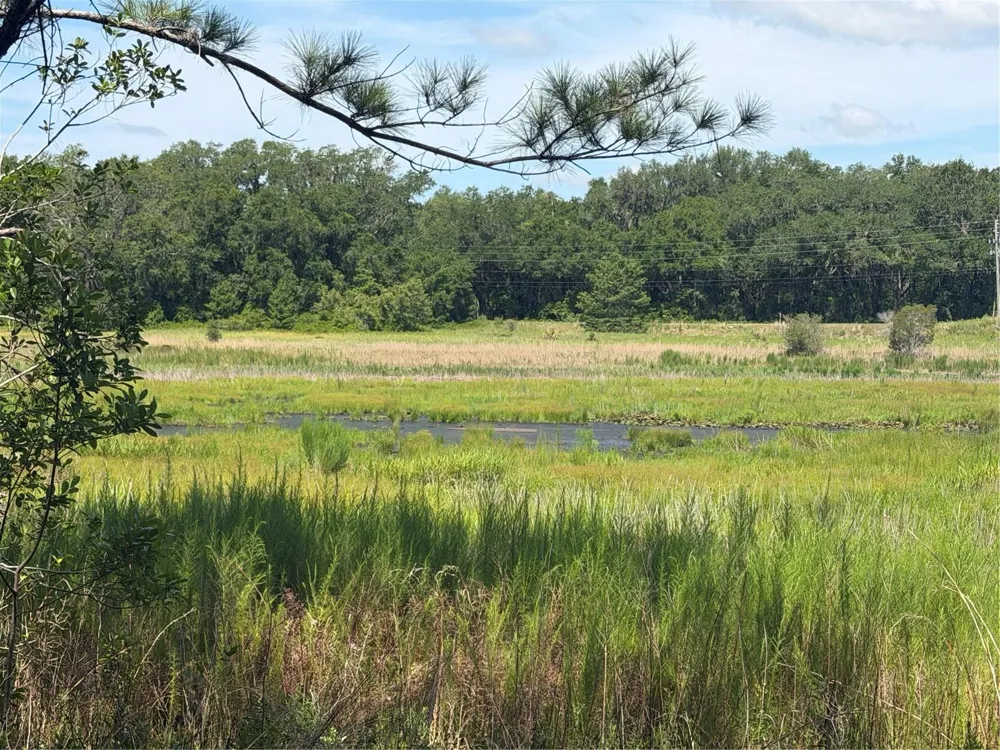 TBD GUAVA TERRACE Ocklawaha, FL 32179