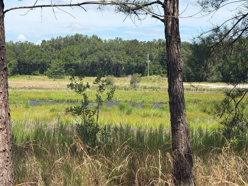 TBD GUAVA TERRACE Ocklawaha, FL 32179