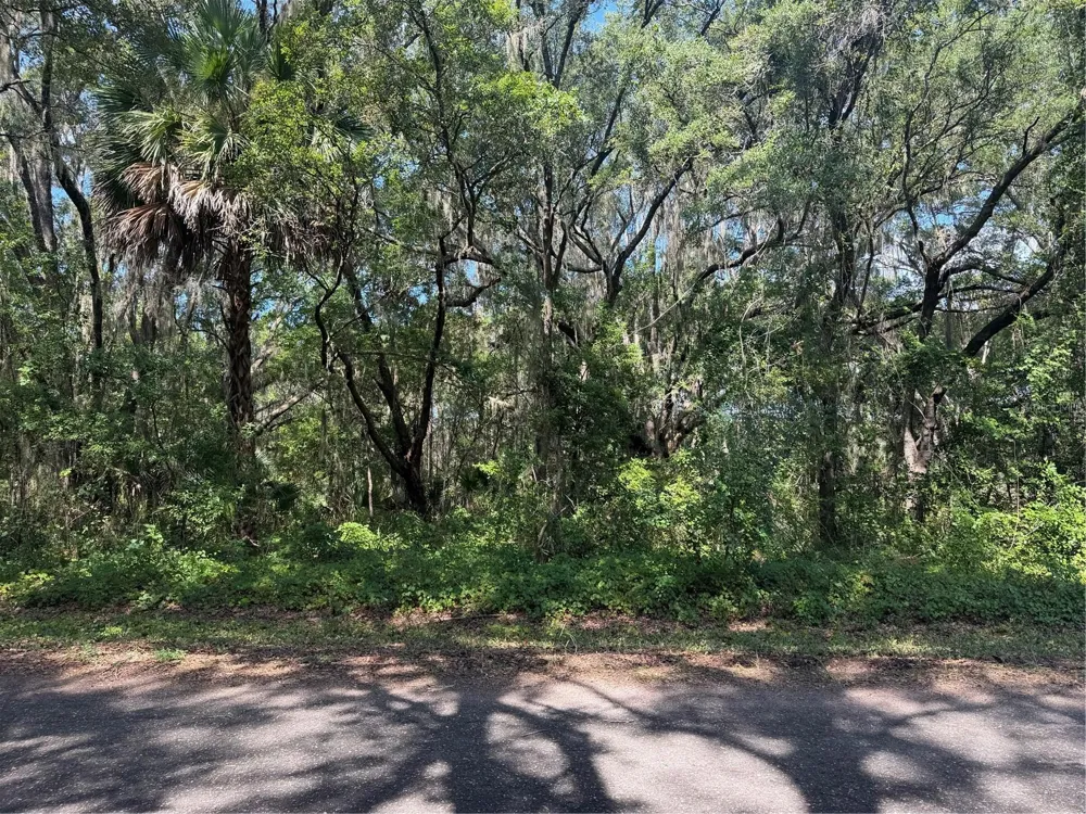 TBD GUAVA TERRACE Ocklawaha, FL 32179