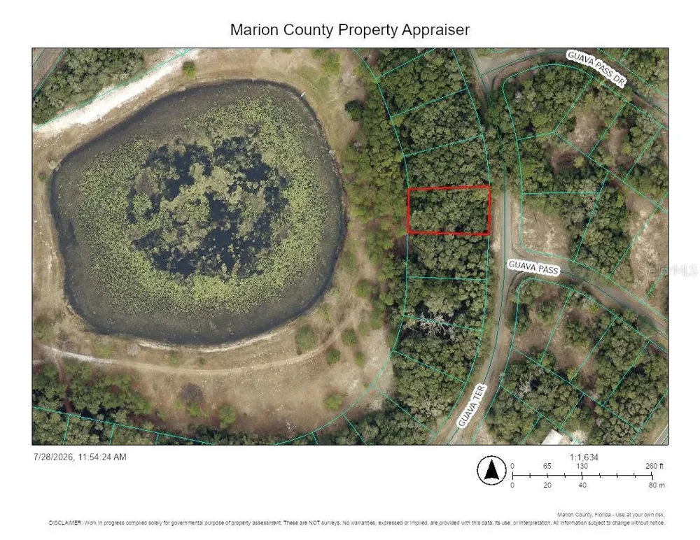 TBD GUAVA TERRACE Ocklawaha, FL 32179