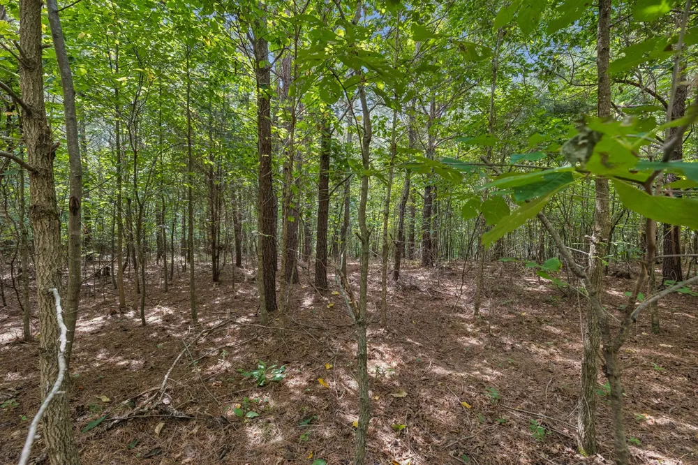 0 Falls Branch Road Duck River, TN 38454