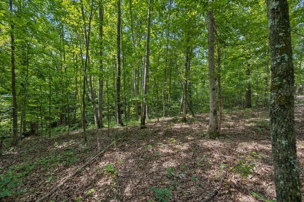 0 Falls Branch Road Duck River, TN 38454