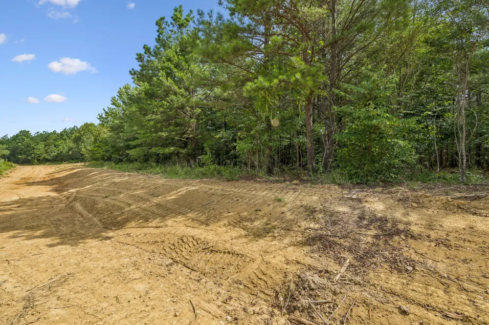0 Falls Branch Road Duck River, TN 38454