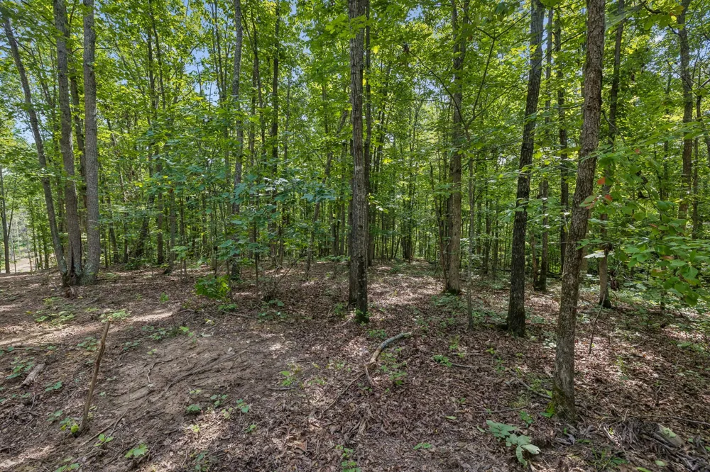 0 Falls Branch Road Duck River, TN 38454