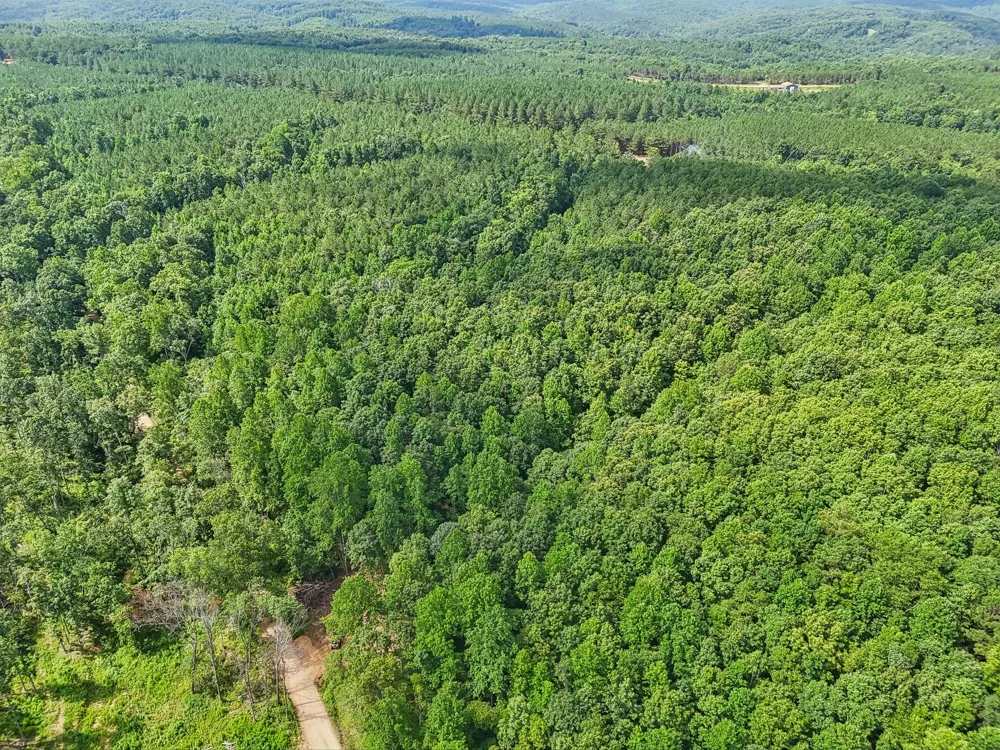 0 Falls Branch Road Duck River, TN 38454