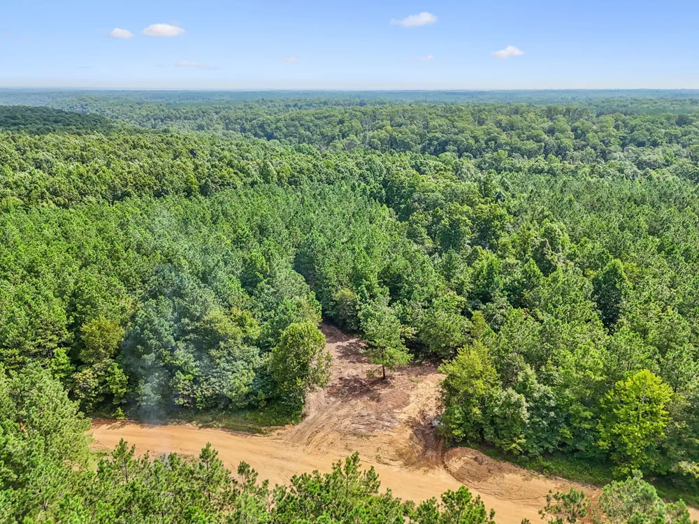 0 Falls Branch Road Duck River, TN 38454