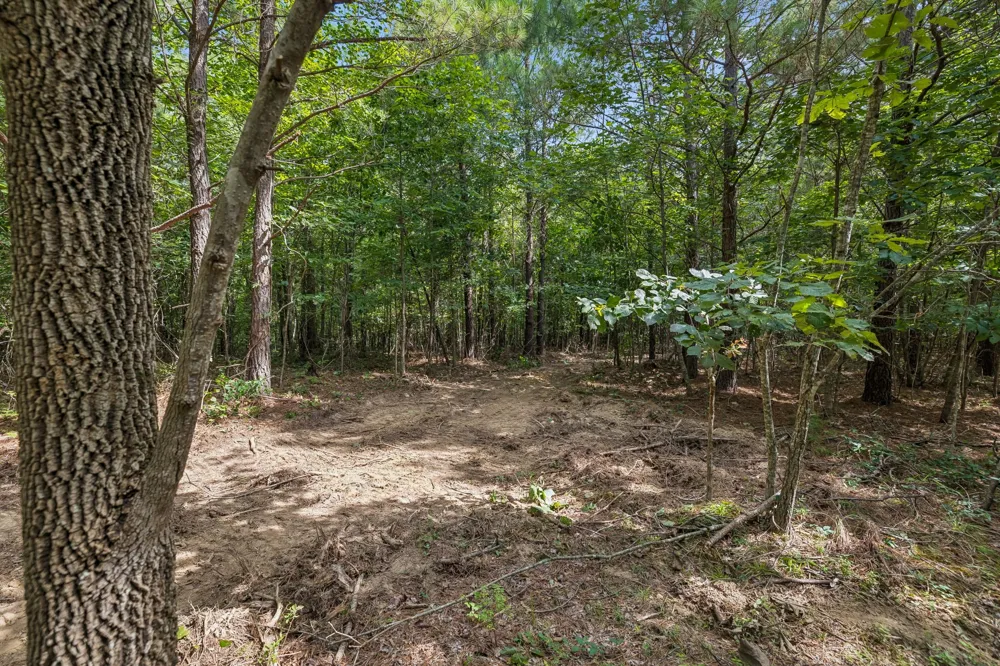 0 Falls Branch Road Duck River, TN 38454