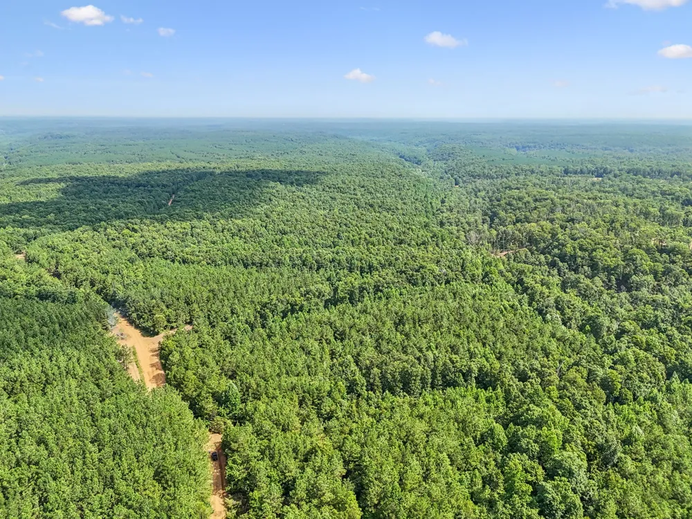0 Falls Branch Road Duck River, TN 38454