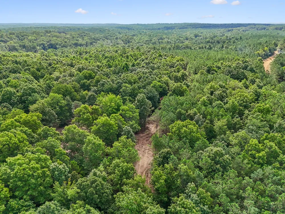 0 Falls Branch Road Duck River, TN 38454