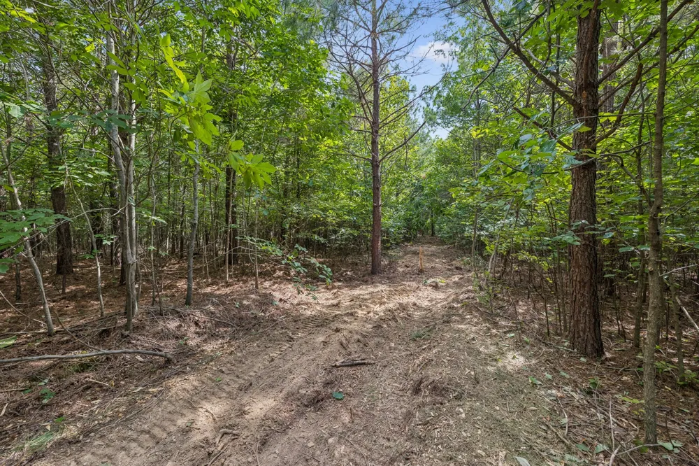 0 Falls Branch Road Duck River, TN 38454