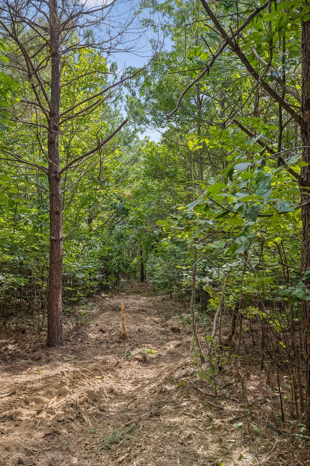 0 Falls Branch Road Duck River, TN 38454