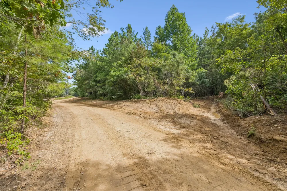 0 Falls Branch Road Duck River, TN 38454