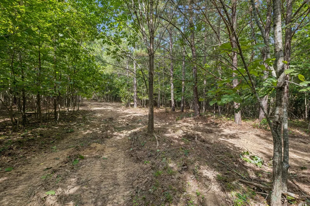 0 Falls Branch Road Duck River, TN 38454