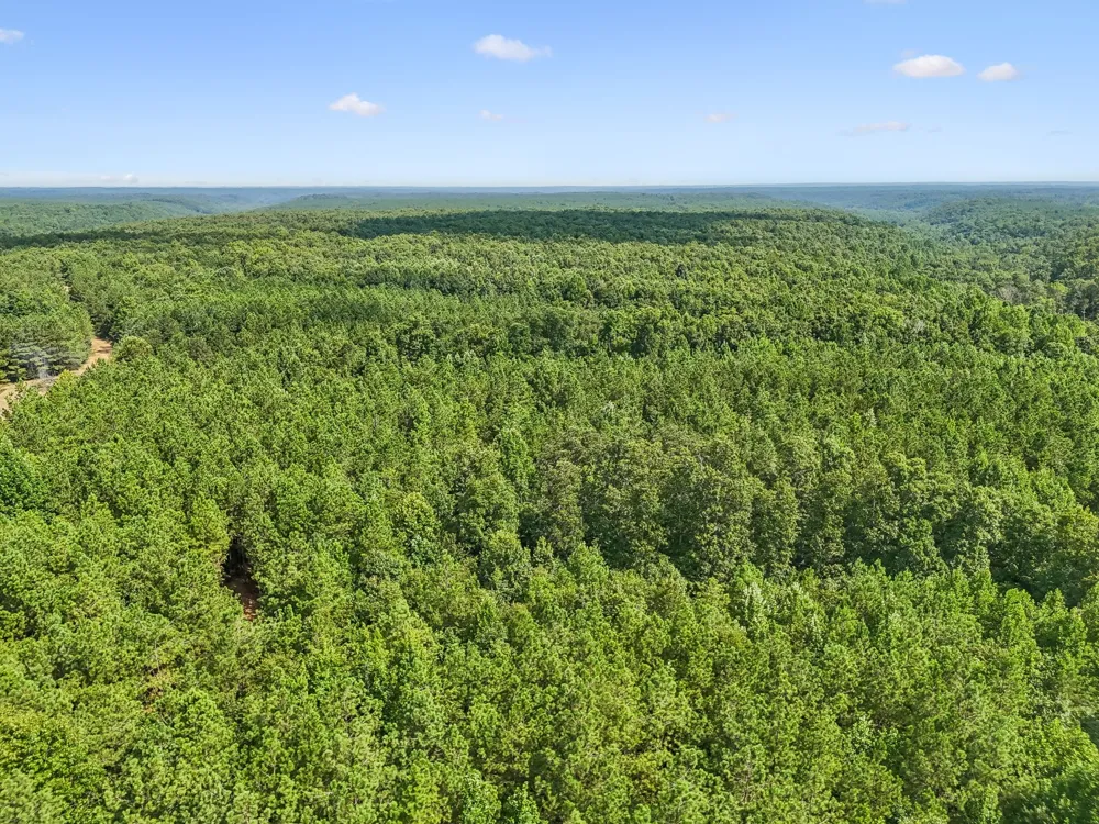 0 Falls Branch Road Duck River, TN 38454