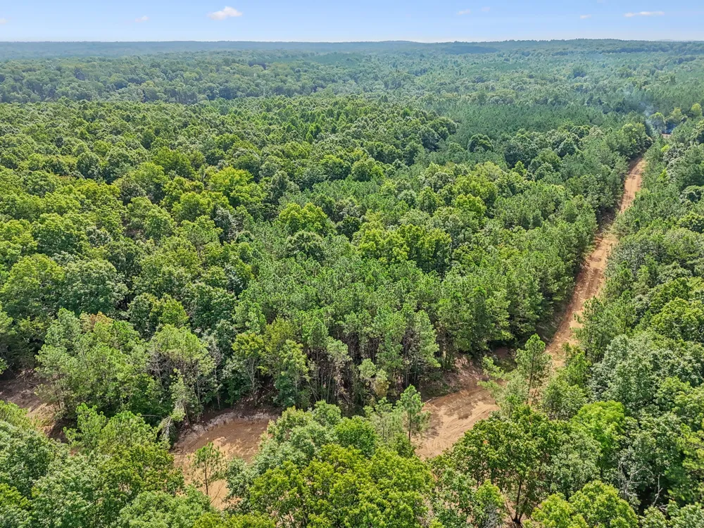 0 Falls Branch Road Duck River, TN 38454