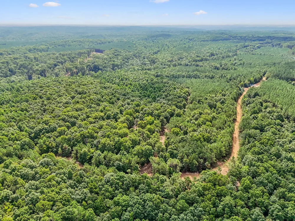 0 Falls Branch Road Duck River, TN 38454