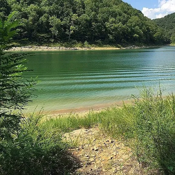 175 Dillon Rd Baxter, TN 38544