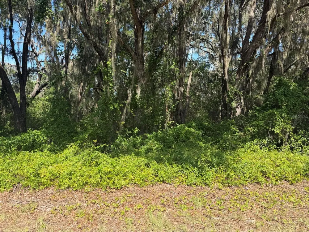 TBD GUAVA TERRACE Ocklawaha, FL 32179