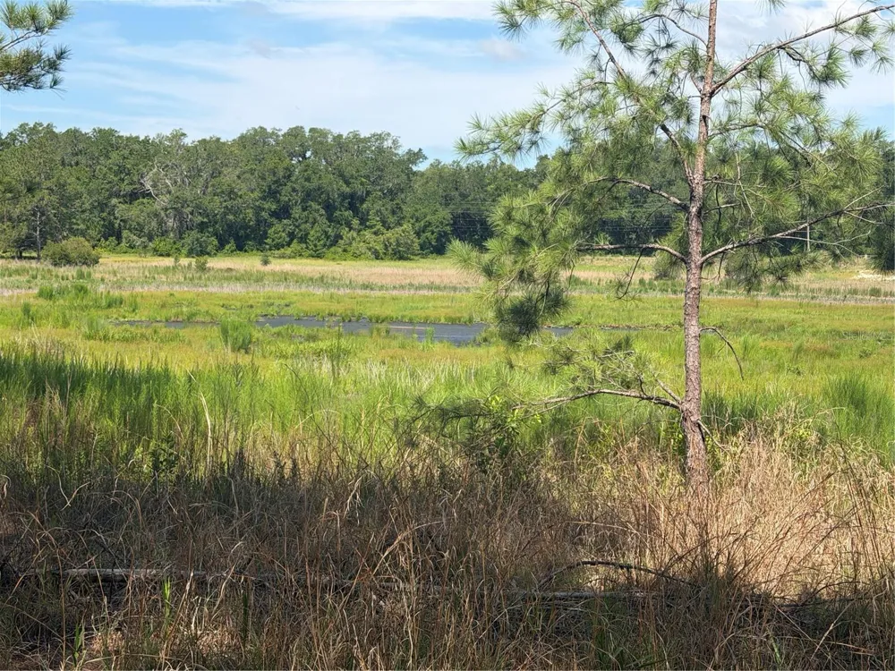 TBD GUAVA TERRACE Ocklawaha, FL 32179