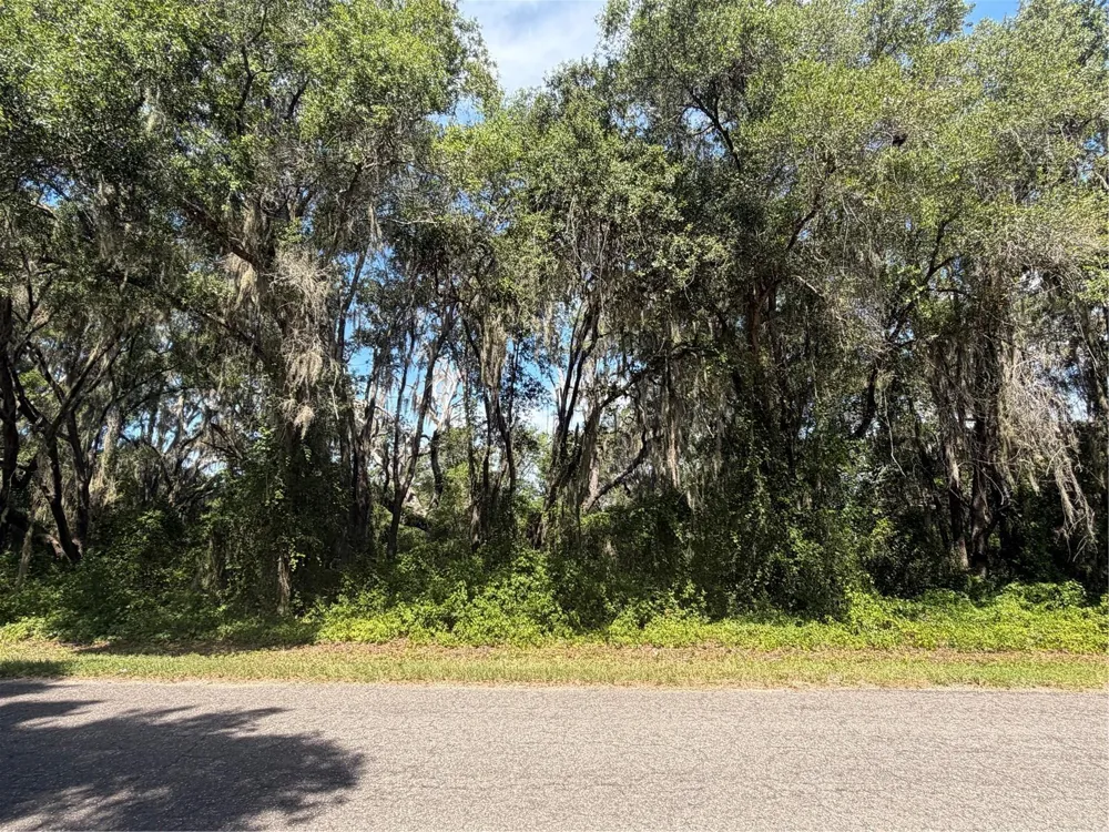 TBD GUAVA TERRACE Ocklawaha, FL 32179