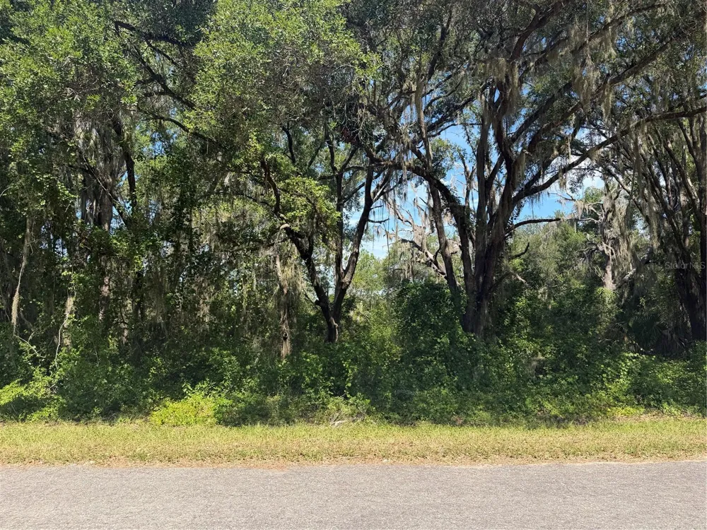 TBD GUAVA TERRACE Ocklawaha, FL 32179