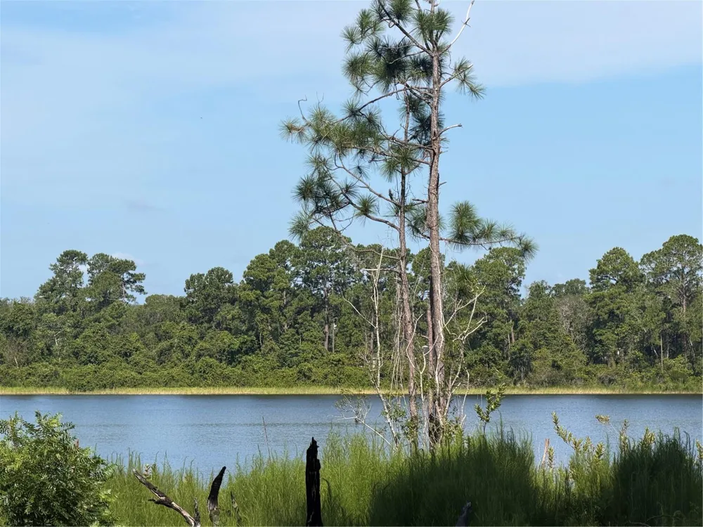 TBD MALAUKA RADIAL Ocklawaha, FL 32179