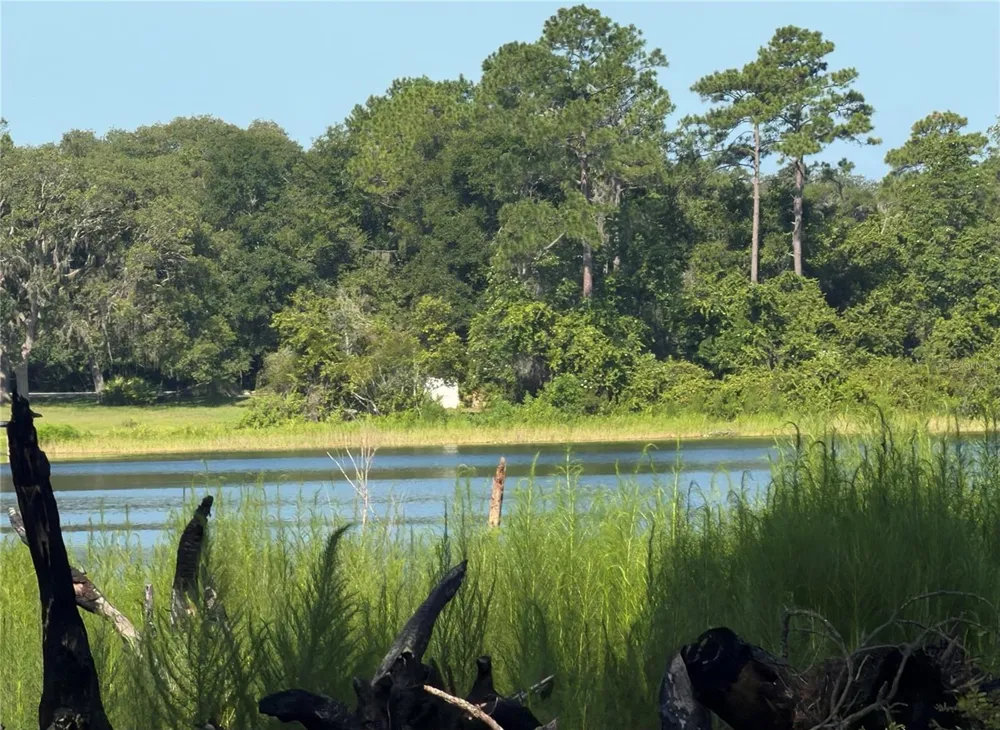 TBD MALAUKA RADIAL Ocklawaha, FL 32179
