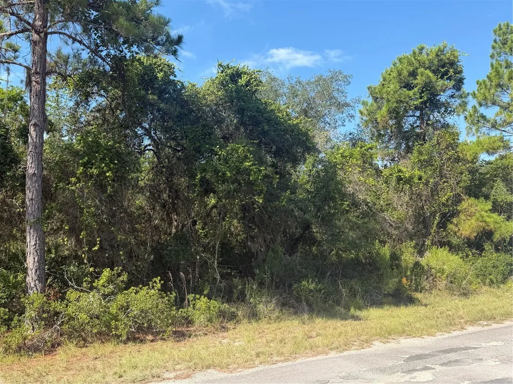 TBD MALAUKA RADIAL Ocklawaha, FL 32179