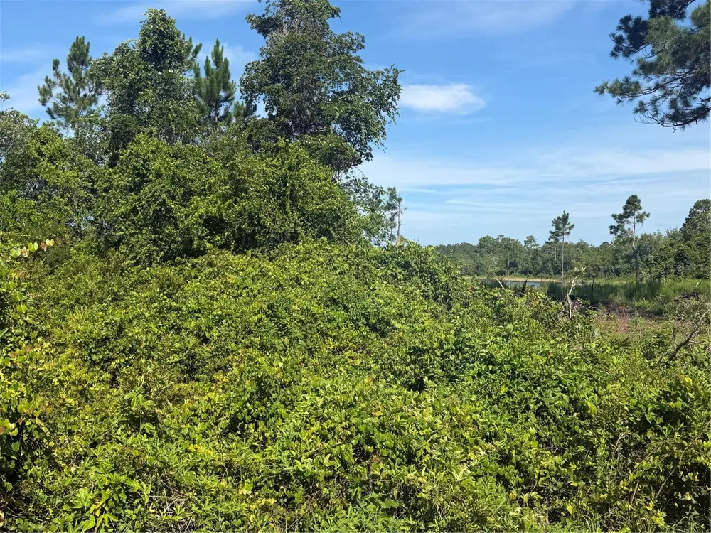 TBD MALAUKA RADIAL Ocklawaha, FL 32179
