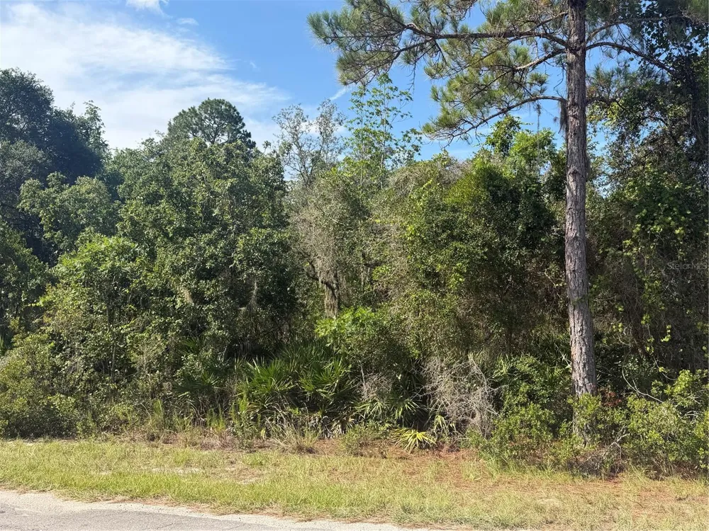 TBD MALAUKA RADIAL Ocklawaha, FL 32179