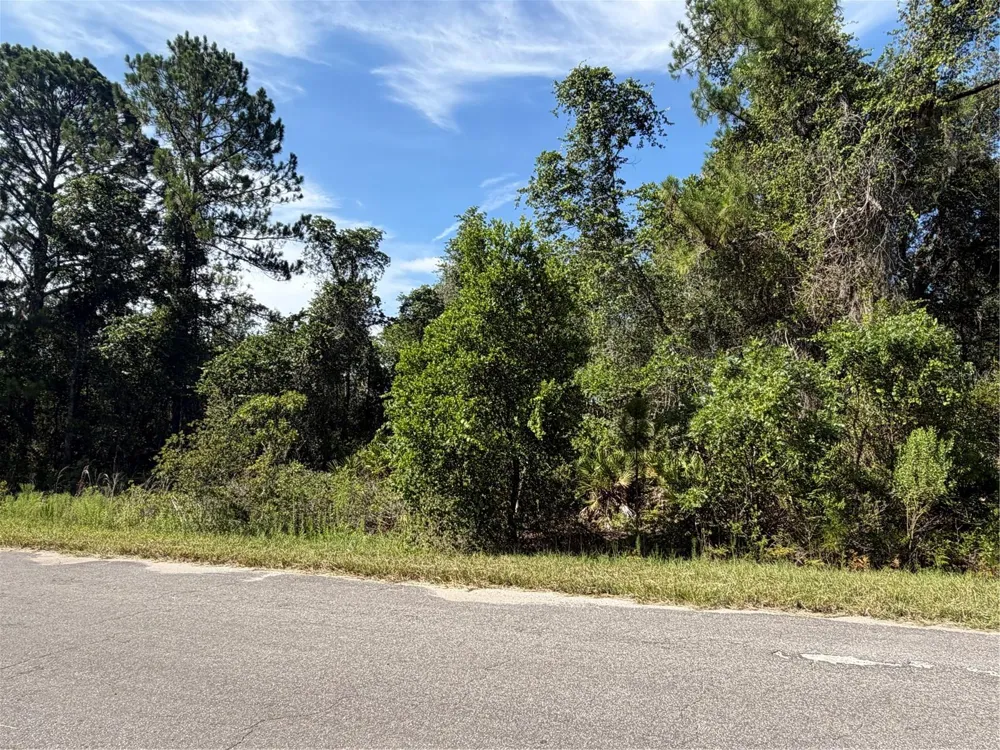 TBD MALAUKA RADIAL Ocklawaha, FL 32179
