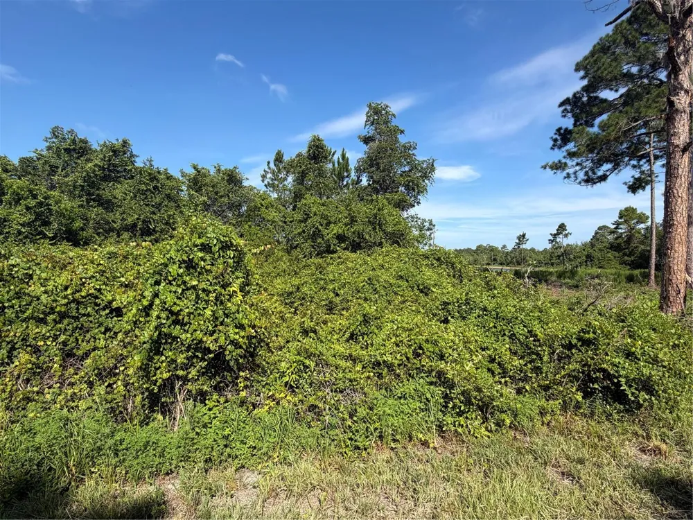 TBD MALAUKA RADIAL Ocklawaha, FL 32179