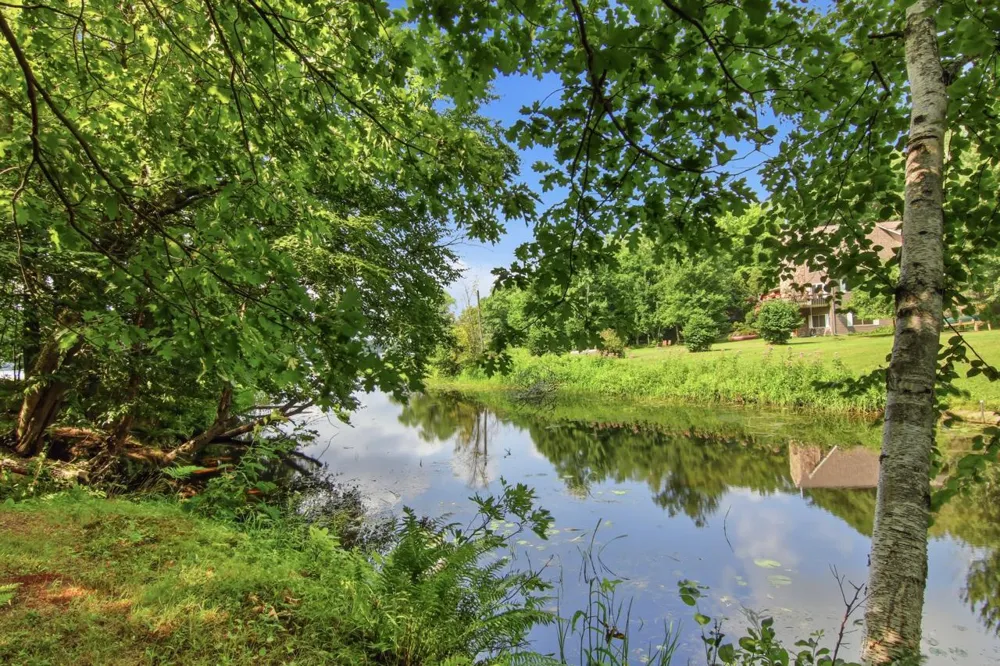 N6113 Lakewood Boulevard Ladysmith, WI 54848