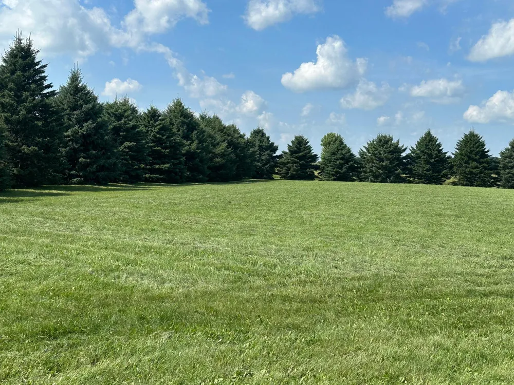 TBD 227th Austin, MN 55912