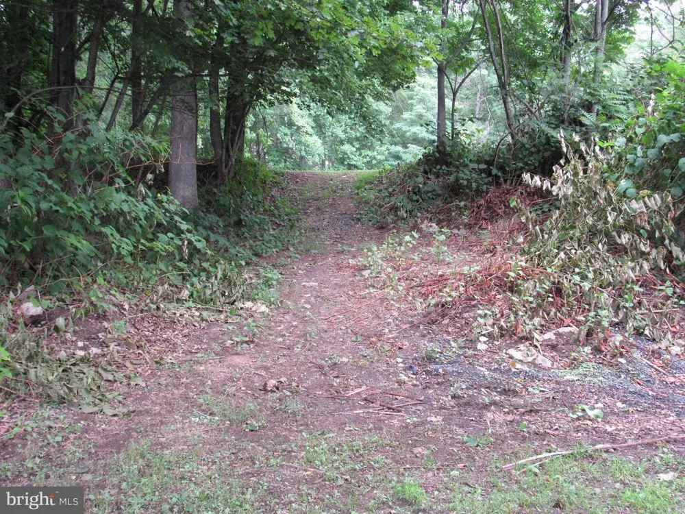 0 SILVER LANE Ashland, PA 17921
