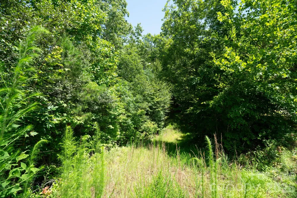 230 White Rapid Road #35 Marshall, NC 28753