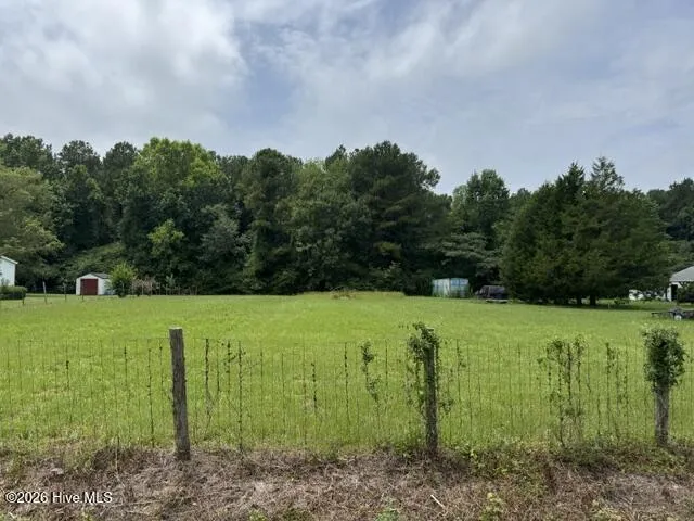 0 Shady Lane Road Willard, NC 28478